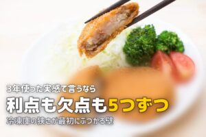 冷凍弁当のメリット・デメリット｜始める前に知っておきたい本音