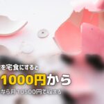 宅食の月額はいくら?1日2食×30日でシミュレーションしてみた