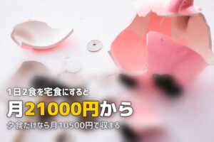 宅食の月額はいくら？1日2食×30日でシミュレーションしてみた