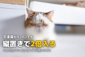 冷凍弁当で冷凍庫がパンパン！縦置き収納＆整理術で2倍入る方法