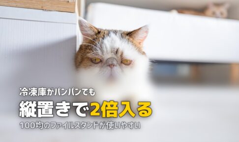 冷凍弁当で冷凍庫がパンパン！縦置き収納＆整理術で2倍入る方法