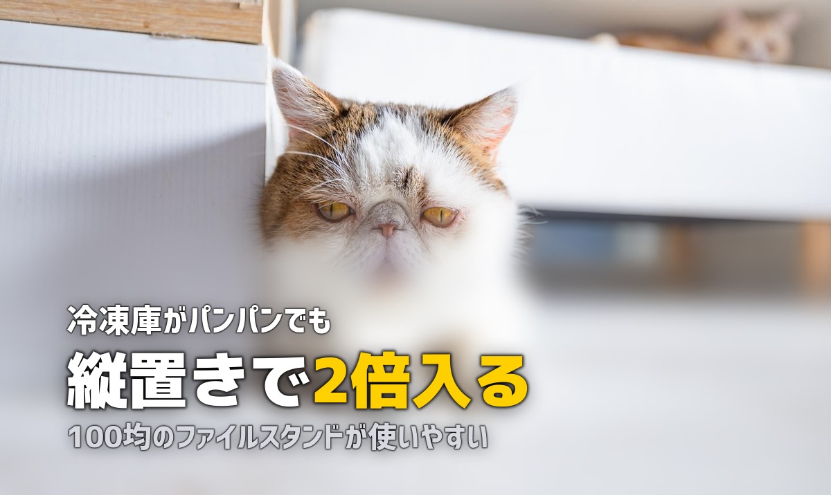 冷凍弁当で冷凍庫がパンパン！縦置き収納＆整理術で2倍入る方法