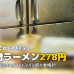 ファミマの冷凍弁当おすすめランキングTOP10【2026年最新】