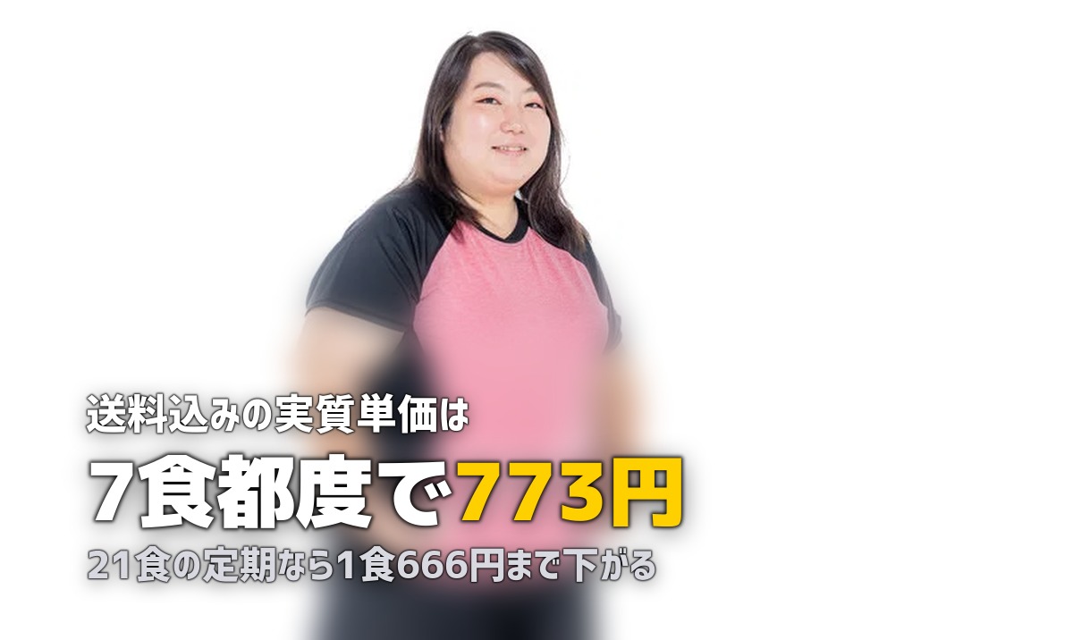 ウェルネスダイニングの料金・コースを徹底解説|送料込みの実質単価も計算