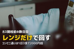 引っ越し直後の食事は冷凍弁当で乗り切る！キッチンが使えない時期の最適解