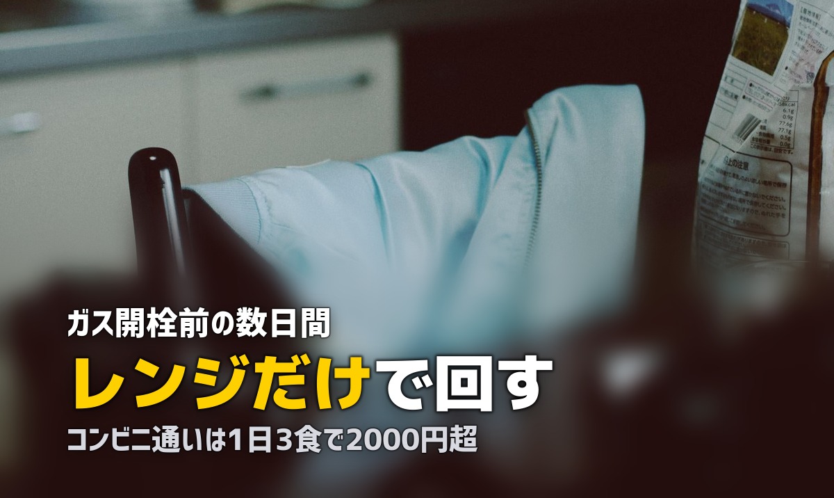 引っ越し直後の食事は冷凍弁当で乗り切る！キッチンが使えない時期の最適解