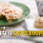 宅食の乗り換え先おすすめ|不満別に最適なサービスを紹介