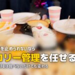 一人暮らしで太った…食生活の見直しポイント5つ｜無理なく体重管理する方法