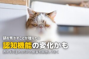 実家の母が料理できなくなった…子どもにできる具体的な対策