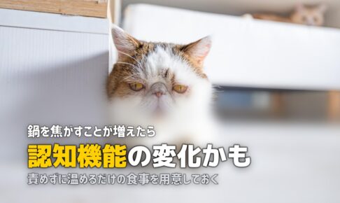 実家の母が料理できなくなった…子どもにできる具体的な対策