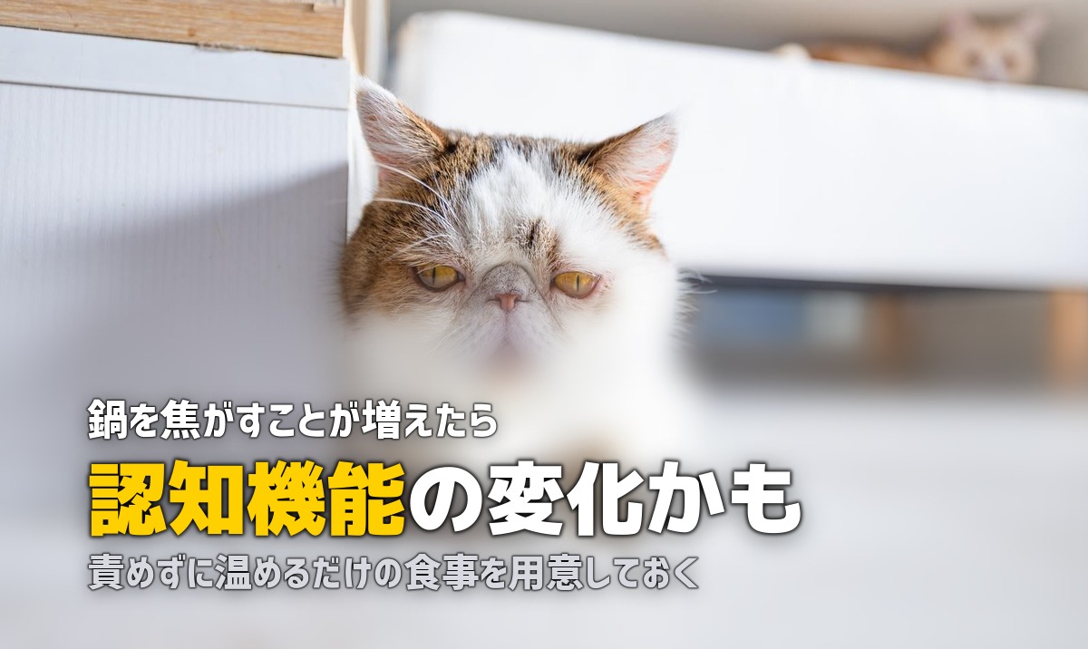 実家の母が料理できなくなった…子どもにできる具体的な対策