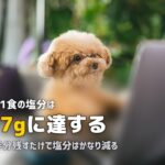 在宅勤務で毎日カップ麺…健康リスクと無理なく改善する方法