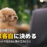 テレワーク夫の昼ごはんを作りたくない！妻の負担を解消する方法