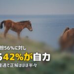 合宿免許の費用は親に出してもらう?自分で払う?それぞれのメリット