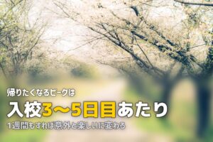 合宿免許でホームシック…帰りたくなったときの乗り越え方
