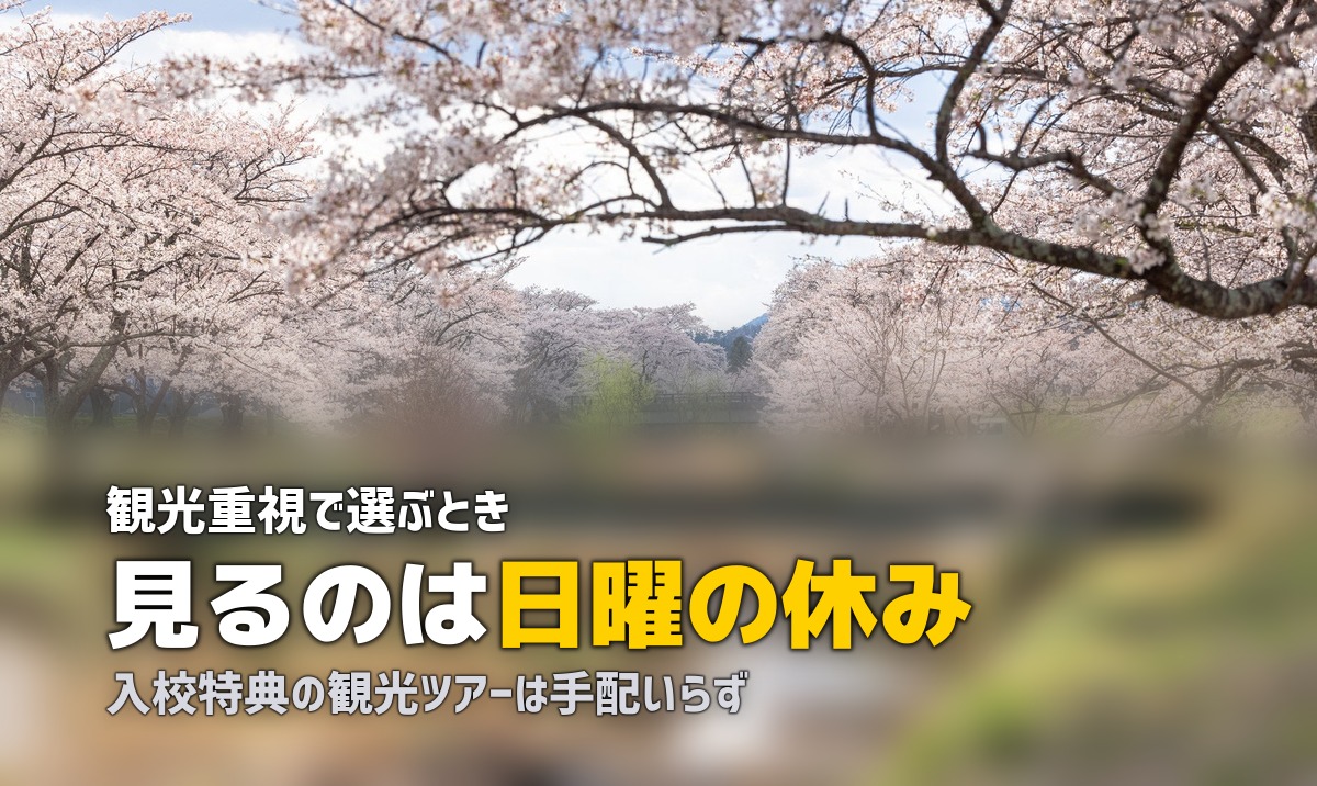 観光も楽しめる合宿免許|おすすめ教習所と楽しみ方ガイド