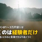 合宿免許の自炊プラン(食事なし)はお得?|メリット・デメリットと節約術