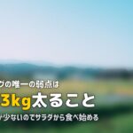 合宿免許のバイキング食事がおすすめ!|メリット・注意点と人気教習所の特徴