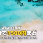 合宿免許の洗濯事情|コインランドリーの使い方・費用・持ち物を解説
