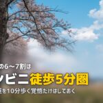 合宿免許の周辺にコンビニはある？｜田舎の教習所で困らないための対策