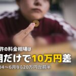 合宿免許の時期・シーズン完全ガイド｜安い時期と混む時期を徹底解説