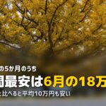 合宿免許は閑散期が狙い目！4月・5月・6月のおすすめ理由と料金を解説