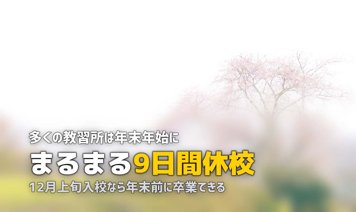 合宿免許は年末年始・お盆でも取れる?休校期間と対処法を解説