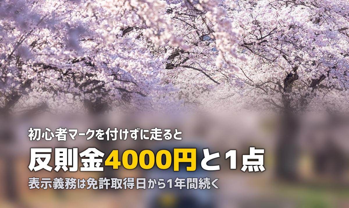 初心者マークはいつまで?合宿免許卒業後の表示義務と注意点