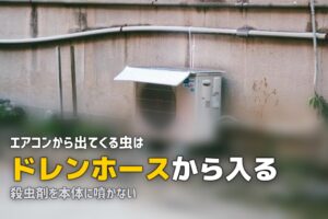 エアコン 掃除 虫