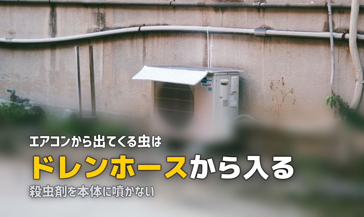 エアコン 掃除 虫