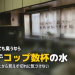 排水口 臭い 上がってくる 対策