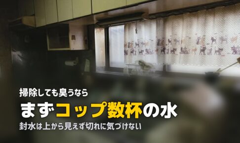 排水口 臭い 上がってくる 対策