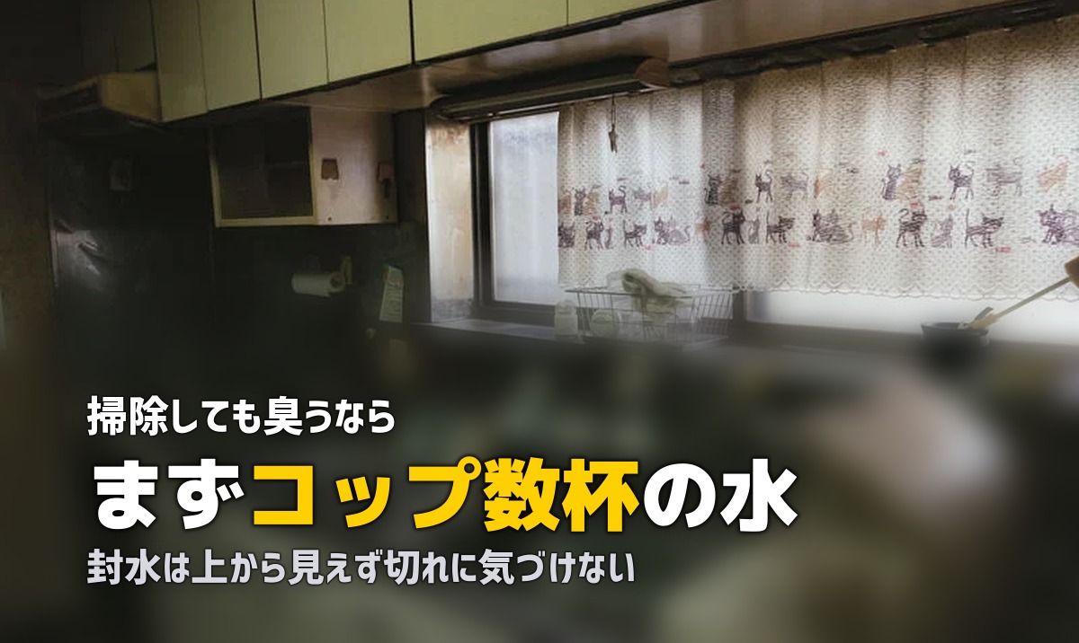 排水口 臭い 上がってくる 対策