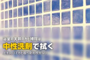 浴室 天井 カビ 掃除