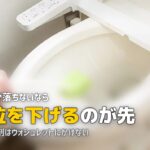 トイレ 黄ばみ 尿石 落ちない