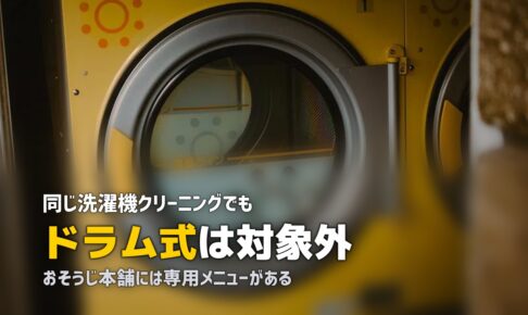 洗濯機 クリーニング ドラム式