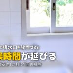 洗濯機 排水口 クリーニング