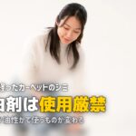 カーペット シミ 時間が経った 落とし方