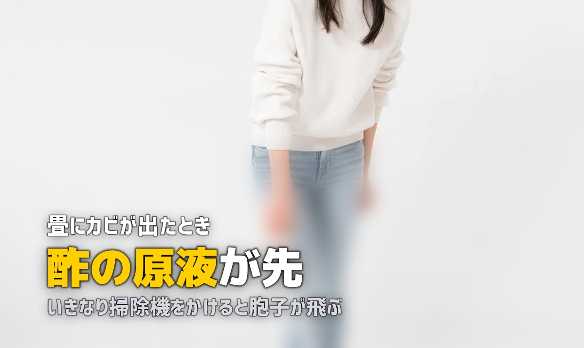 畳 緑カビ 対処