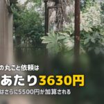 ハウスクリーニング 一軒家 相場