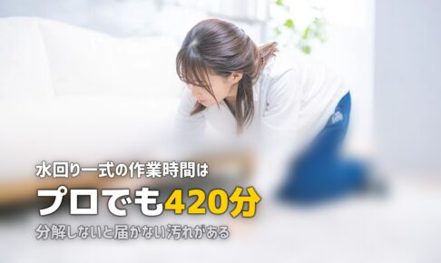 掃除 プロに頼む 罪悪感