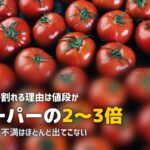 オイシックスの口コミ・評判まとめ|利用者のリアルな声を徹底調査