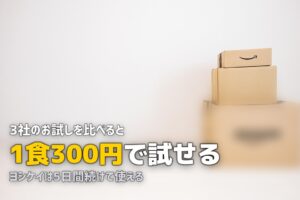 ミールキットのお試しセットおすすめ3選｜最安300円〜