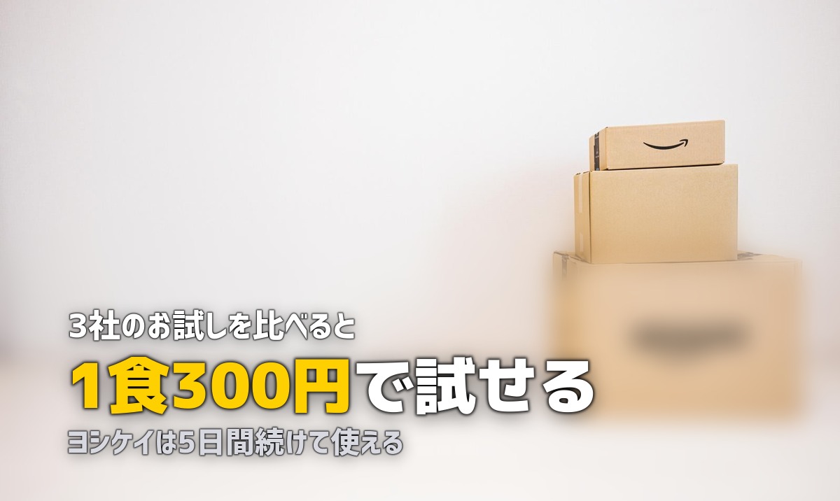 ミールキットのお試しセットおすすめ3選|最安300円〜