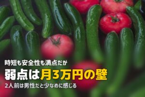 オイシックスのメリット・デメリットを正直にまとめた【入会前に必読】