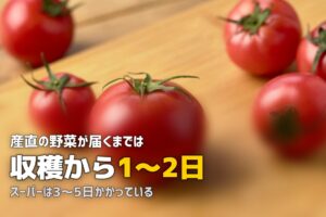 新鮮な野菜が届く食材宅配おすすめ3選｜産直で鮮度抜群