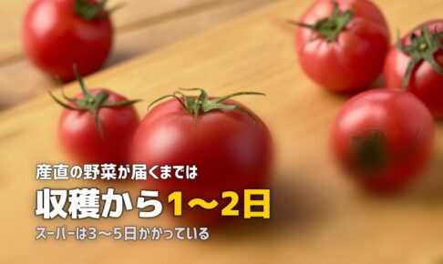 新鮮な野菜が届く食材宅配おすすめ3選｜産直で鮮度抜群