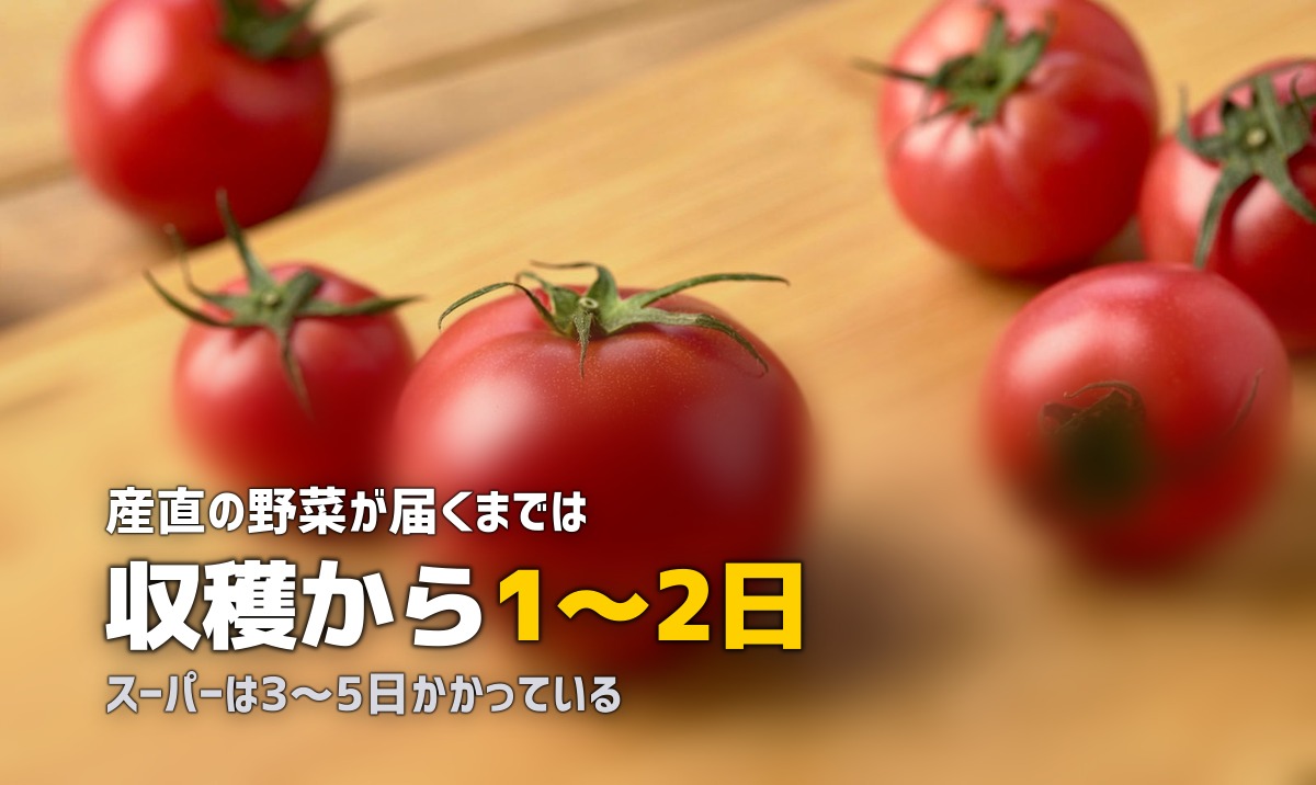 新鮮な野菜が届く食材宅配おすすめ3選｜産直で鮮度抜群
