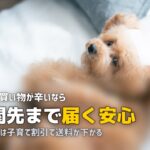 妊娠中・産後におすすめの食材宅配3選【買い物不要で安心】