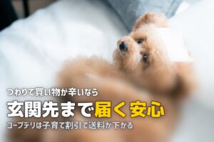 妊娠中・産後におすすめの食材宅配3選【買い物不要で安心】